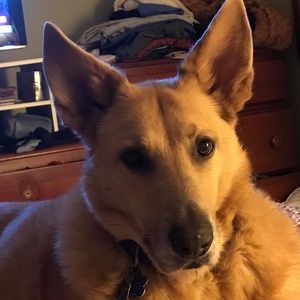 Meet your Posher, Jane